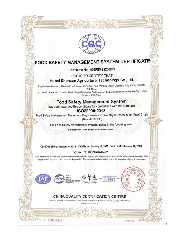 食品安全体系证书(英文版)